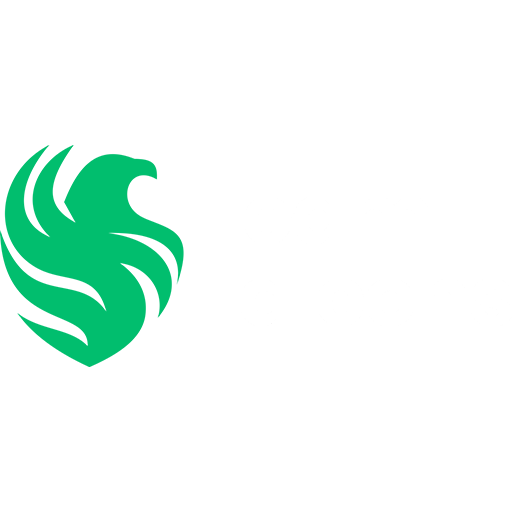 Team Falcons