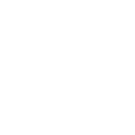 Team Spirit